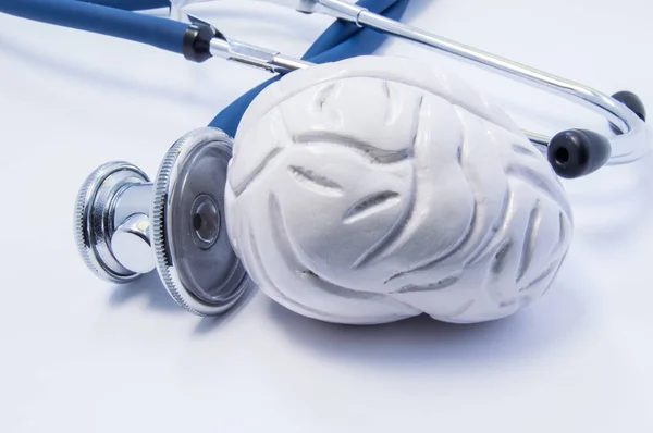 Anatomical 3D model of human brain as organ near stethoscope which big chestpiece is research or tests of brain. Concept photo for diagnosis health and treatment of brain diseases like cancer, stroke — Stock Photo, Image