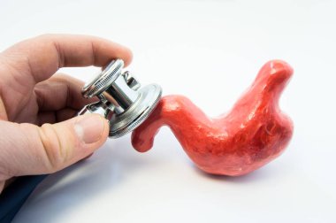 Doktor holding stetoskop onun el ve mide, model üzerinde kafa eğilerek anatomik şekli inceliyor. Tanı, belirtiler, tanım ve mide hastalıkları tedavi tespiti için konsept fotoğraf