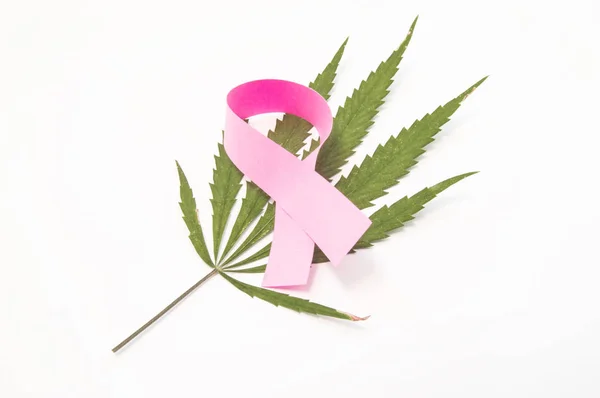 Il nastro rosa come simbolo del seno, giace sulla foglia verde della marijuana medica. Uso di cannabis nel trattamento del cancro al seno e di altre malattie mammarie, effetti della marijuana durante l'allattamento — Foto Stock