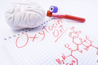 Not oksitosin hormonu ile yazılı ve kimyasal formülü ile kan analizi için 3d beyin ve laboratuvar test tüpleri tarafından çevrili yatıyor. Oksitosin, tıp ve vücut üzerindeki etkileri kullanımı tanı düzeyleri