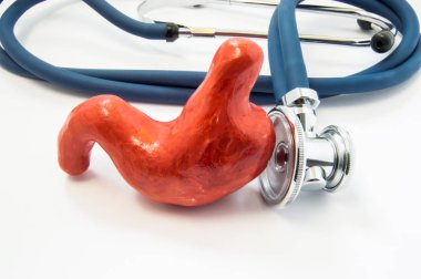 Anatomik 3d mide, mide incelemek için görünüyordu stetoskop yanındaki modeldir. Kavram görüntüleme tanı ve hastalıklarının tedavisi ve erkek ve kadınlarda ülser gibi mide sorunları