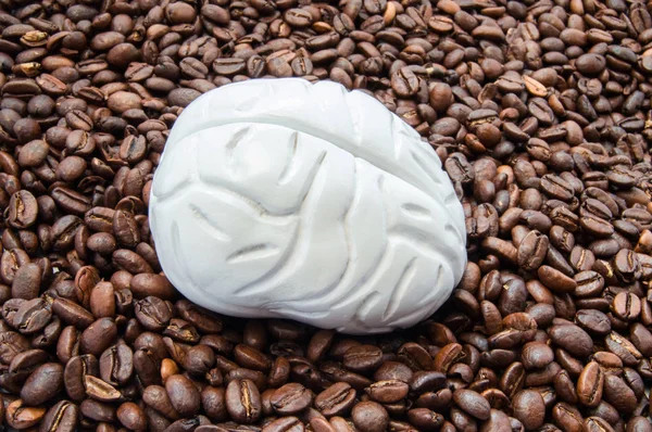 Brain and coffee (caffeine). Brain model is among coffee beans. Influence of coffee on the brain, nerve cells (neurons), their function and activity, positive and negative effects on memory, behavior