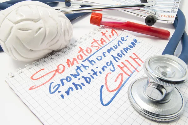 Notebook labeled Somatostatin growth hormone inhibiting hormone (SHIH) next to brain, stethoscope and laboratory blood test tube. Visualization of work, function and analysis of Somatostatin level