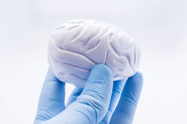 Doktor mavi eldiven, insan beyninin anatomik şekil giyinmiş elinde tutar. Tanı, tedavi, bakım, önleme ve koruma zihinsel ve Bilişsel Beyin Hastalıkları simgeleyen kavramı resim