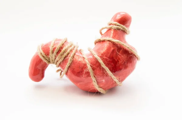 Анатомическая модель человеческого желудка, связанная веревкой, лежащей на белом фоне. Идея для желудочных спазмов, сильных ощущений или ощущений голода, голода, боли в желудке, боли или недомогания, скрученного желудка — стоковое фото