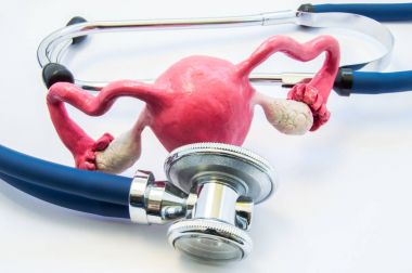 Anatomik rahim veya rahim yumurtalık yakınındaki bu inceliyor stetoskop ile 3d birim şeklini. Sınav veya test, tanı ve tedavi hastalık, bozukluk veya diğer sağlık sorunları en dibindeki konsept fotoğraf