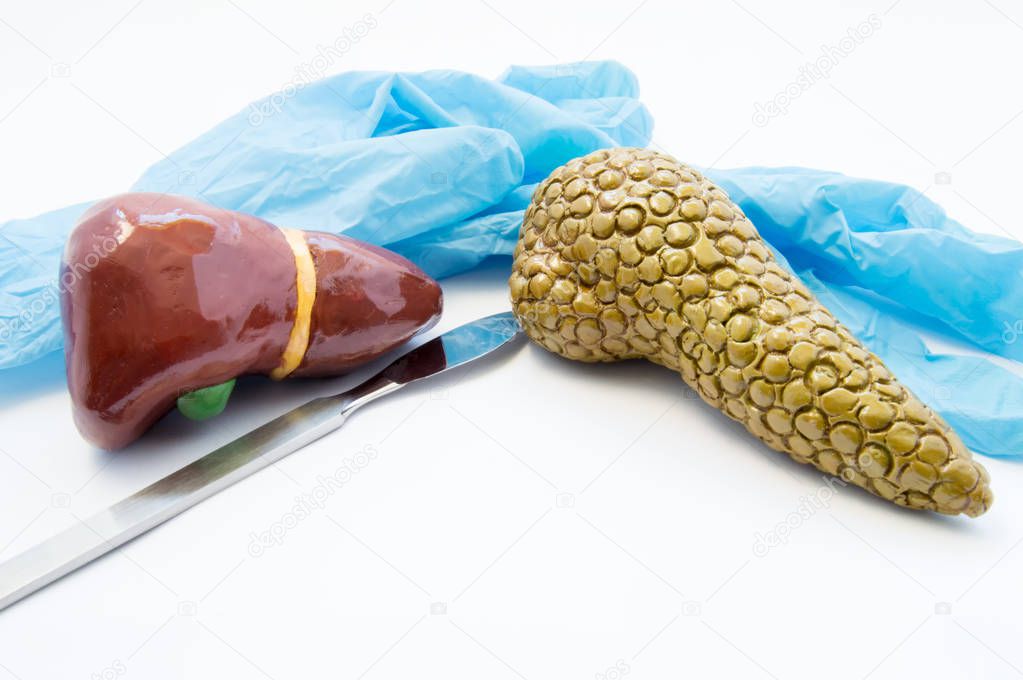 Concept of hepatobiliary reconstructive surgery, diet and nutrition. Scalpel and medical gloves near liver and pancreas models. Surgical treatment of diseases of hepatobiliary system - tumors, stones