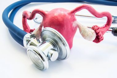 Anatomik rahim veya rahim yumurtalık yakınındaki bu inceliyor stetoskop ile 3d birim şeklini. Sınav veya test, tanı ve tedavi hastalık, bozukluk veya diğer sağlık sorunları en dibindeki konsept fotoğraf