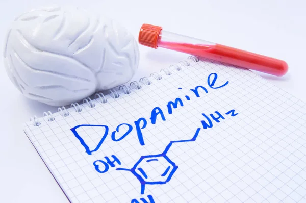 Neurotransmisor Dopamina en el cerebro. Modelo cerebral 3D anatómico, tubo de laboratorio con sangre y nota, donde está escrito el título de dopamina y fórmula. Concepto para determinar el nivel de dopamina en el cerebro humano — Foto de Stock