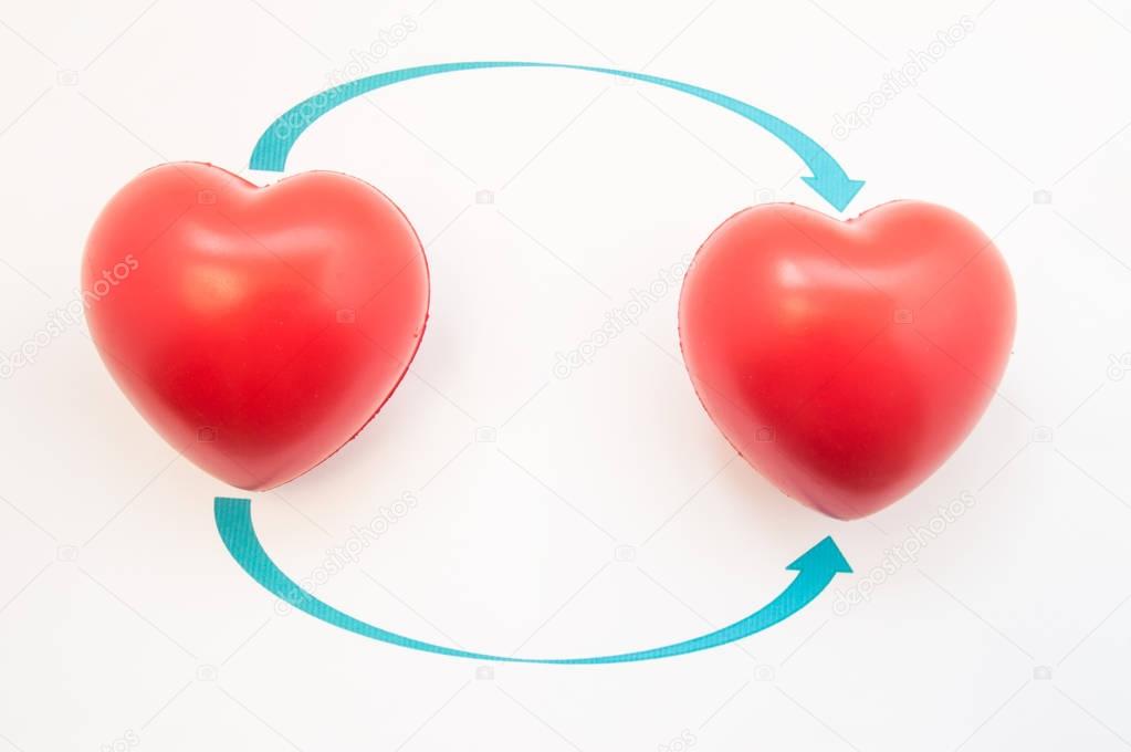 Concept photo of heart transplant. Two 3D anatomical heart shapes are reversed to direction of arrows. Illustration of heart transplantation in cardiac reconstructive surgery from donor to recipient