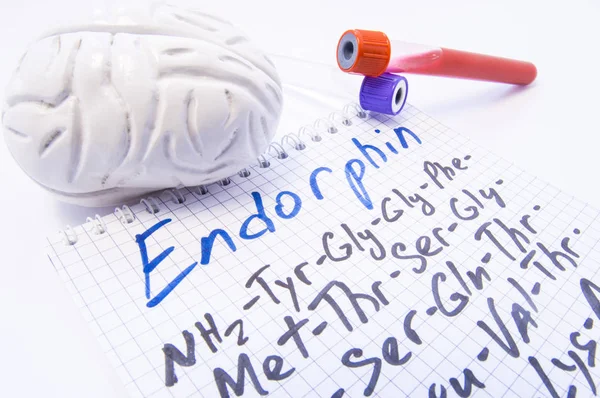 Neuropéptidos opioides de endorfina. Dos tubos de laboratorio con sangre y modelo de cerebro están cerca del título Endorfina y su fórmula química. Efecto de las endorfinas en el cerebro y en todo el cuerpo — Foto de Stock
