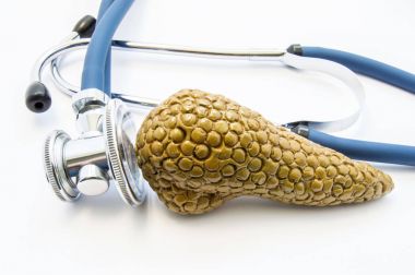 Anatomik pankreas bezinin bu inceliyor stetoskop yakınındaki 3d birim şekil. Sınav veya test, tanı ve tedavi hastalık, bozukluk ya da pankreas bezinin diğer sağlık sorunları için konsept fotoğraf