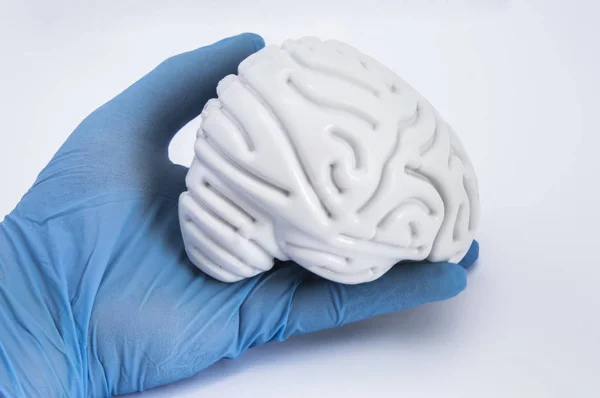 El médico mantiene en la mano, vestido con un guante de látex azul, la figura del cerebro humano sobre fondo blanco de cerca. La idea para la visualización de la salud cerebral o el tratamiento de los trastornos neurológicos —  Fotos de Stock