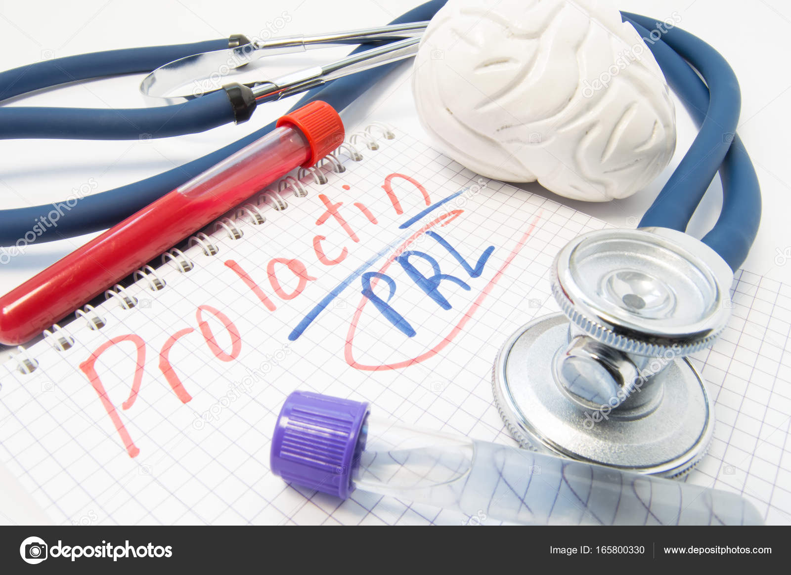 Hormone Prolactin (RPL). Brain figure, lab test tubes with blood