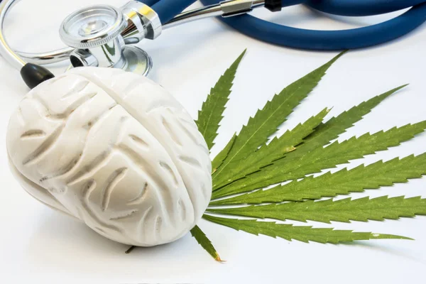 Cannabis, marijuana o erba e cervello. Influenza (positiva e negativa) del fumo di marijuana sul cervello umano, sul sistema nervoso, sull'attività mentale e sulle funzioni, sul funzionamento cognitivo, sullo sviluppo — Foto Stock