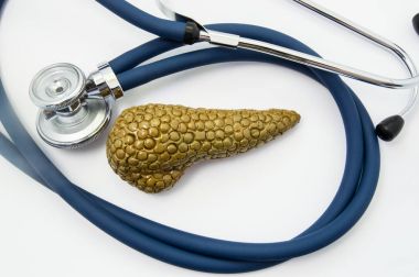 Pankreas bakım ve koruma. Sağlık stetoskop halka içine katlanmış çevreleyen çeşitli maddeler hastalık olumsuz etkisi zarar üzerinden pankreas korunması simgeleyen insan pankreas şeklinde