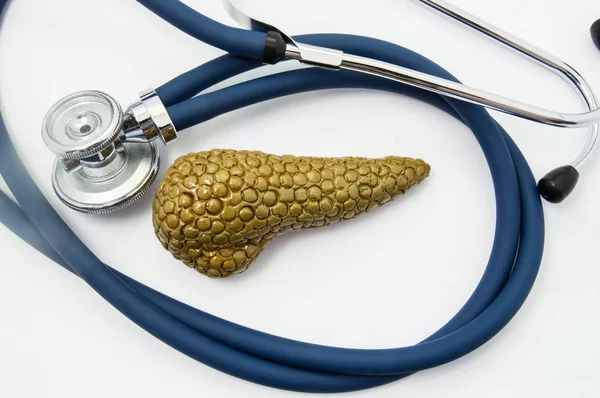 Pankreas bakım ve koruma. Sağlık stetoskop halka içine katlanmış çevreleyen çeşitli maddeler hastalık olumsuz etkisi zarar üzerinden pankreas korunması simgeleyen insan pankreas şeklinde