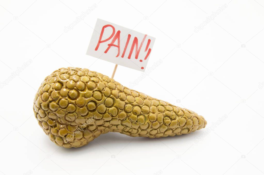 Model of pancreas gland with placard with inscription pain. Concept photo of pain  symptoms and syndromes in pancreas in various diseases and pancreatic pathologies - pancreatitis, cancer etc.