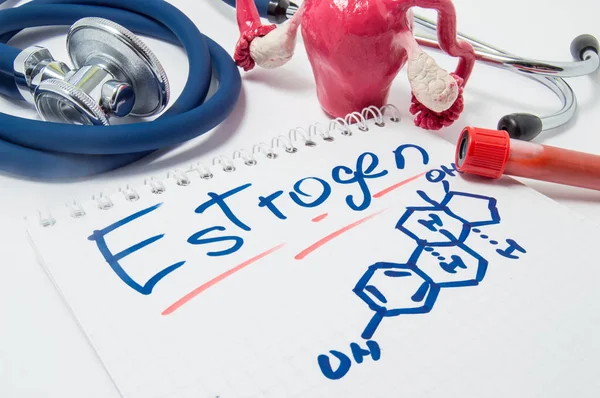 Concept photo of female sex hormone Estrogen and its level in body. Drawn chemical formula of estrogen lies beside anatomical shape of uterus with ovaries, lab tube with blood and stethoscope