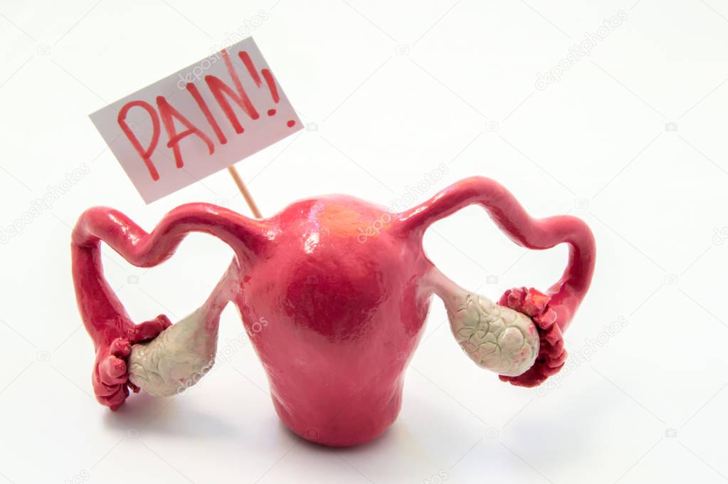 Illustration concept of pain symptom or syndrome in pathologies and diseases of female genitals as PMS, endometriosis. Anatomical model of uterus is next to poster on which written in red word pain