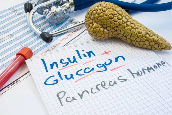 Alvleesklier klier hormonen insuline en glucagon concept foto. Kladblok gegraveerd met insuline en glucagon is in de buurt van cijfers van de alvleesklier, lab reageerbuis met bloed en stethoscoop — Stockfoto