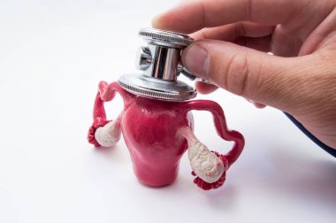 Jinekolog kadın cinsel organları - uterus, fallop tüpleri, yumurtalık veya stetoskop ile olası gebelik denetler. Tanı veya testleri, hamilelik, kadın üreme sistemi hastalıkları kavramı