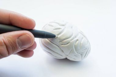 Patoloji veya beyin sorunları veya öğrenme süreci okul, tıp Koleji ya da Üniversitesinde yerelleştirme. Doktor veya anatomik patoloji beyin, 3d modeli konumunu işaret