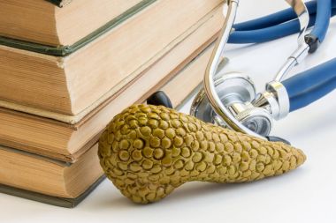 Pankreas bezi, anatomi, yapı, Tıp Okulu, üniversite, üniversite işlevinde fotoğraf çalışma. Pankreas modelinin sonraki karşı fon stetoskop tıbbi kitap kazık yer alır