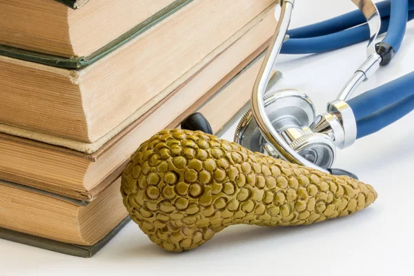 Pankreas bezi, anatomi, yapı, Tıp Okulu, üniversite, üniversite işlevinde fotoğraf çalışma. Pankreas modelinin sonraki karşı fon stetoskop tıbbi kitap kazık yer alır