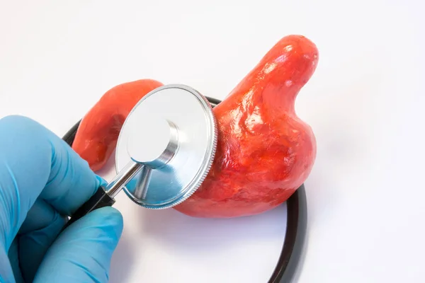 Arzthandschuh mit Stethoskop und 3D-Form des Magens. Fotos Idee, wo Chirurg oder Allgemeinmediziner führt präoperative Diagnose oder Diagnose von Krankheit und Magenanomalie — Stockfoto