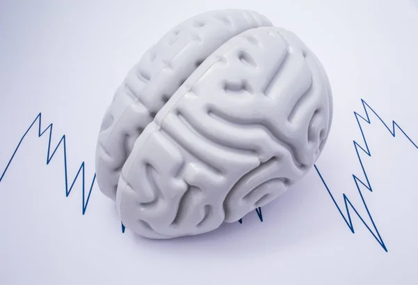 Фігура людського мозку лежить на аркуші паперу, де намальована крива записує електроенцефалограму (ЕЕГ). Ілюстрація або зображення нейронної активності мозку для використання в неврології та неврології — стокове фото