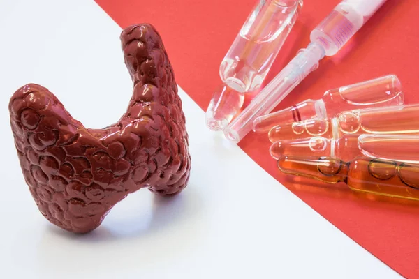 Tiroid hastalıkları - akut ve kronik, fazlalık veya hormon eksikliği ile tedavi sahne. Tiroid bezinin anatomik model şişeleri ve şırınga ilaç kırmızı arka plan ile karşısında yer alır