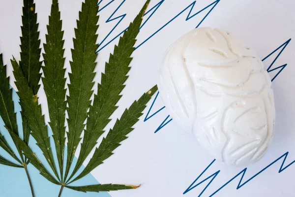 Marijuana ou saisies de cannabis concept photo. Deux feuilles de cannabis vert se trouvent à côté de la figure du cerveau en ligne brisée symbolise l'activité accrue de la crise cérébrale sur l'électroencéphalogramme (EEG ) — Photo