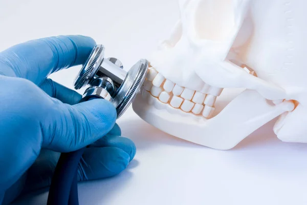 Diagnóstico e detecção de doenças dos dentes na odontologia, doença dos ossos da face, mandíbulas superiores e inferiores, cirurgia oral e maxilofacial foto conceito. Médico segurar na mão estetoscópio em dentes do crânio — Fotografia de Stock