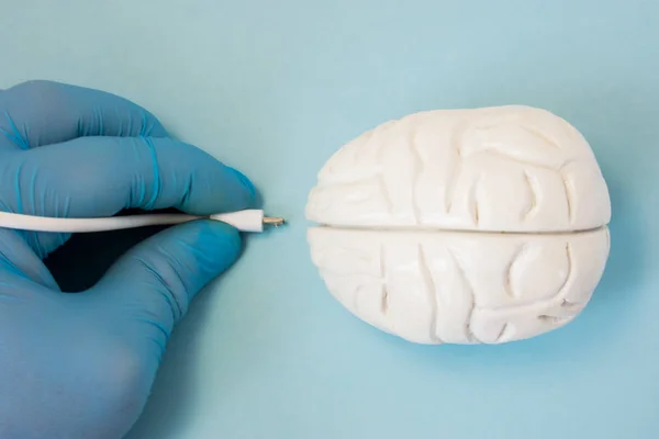 Cerveau et plug concept photo. La figure 3D du cerveau humain est à côté de la main du scientifique ou du médecin en gant, qui maintient le connecteur de prise à insérer dans l'organe pour le diagnostic ou le téléchargement de données d'information — Photo