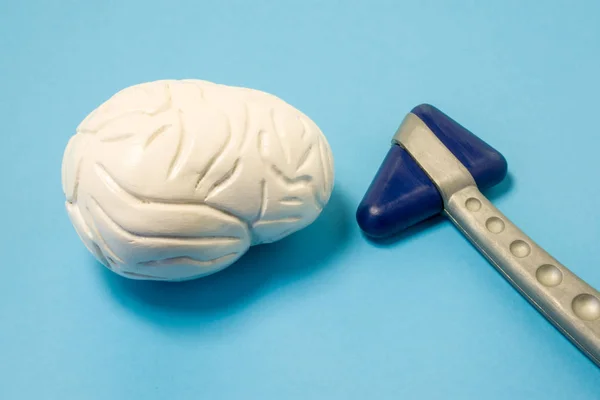 Διαγνωστικό Εργαλείο Από Νευρολόγο Νευρολογικα Σφυρια Νευρολογικές Καουτσούκ Και Μοντέλο — Φωτογραφία Αρχείου