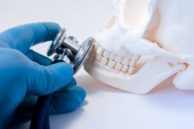 Tanı ve Diş Hekimliği Diş hastalıkları, hastalık yüz kemikleri, alt ve üst çene, ağız ve çene cerrahisi konsept fotoğraf tespiti. Doktor tut elinde stetoskop kafatası diş