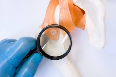 Ortopedik doktor tanı kemik ve eklem ve kas-iskelet sistemi hastalıkları, büyüteç kullanarak patolojiler için diğer bölgelerinde. Kas-iskelet sistemi konsept fotoğraf tanılama incelenmesi