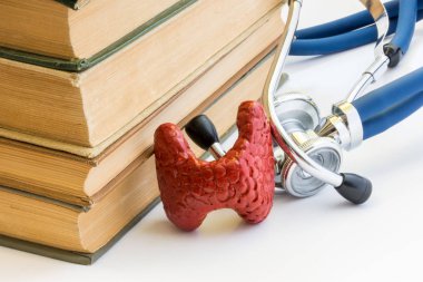 Fotoğraf tiroid bezi, çalışmanın bu anatomi, yapı, Tıp Okulu, üniversite, üniversite işlevinde. Tiroid bezi şeklinde sonraki karşı fon stetoskop tıbbi kitap kazık yer alır