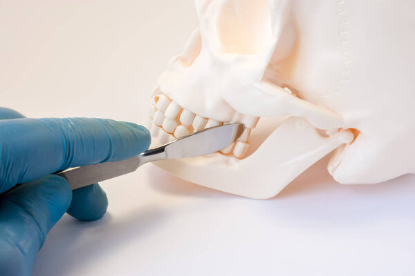 Dental, oral and maxillofacial surgery concept photo. Gloved surgeon hand with scalpel is near teeth of lower and upper jaw, symbolizing dental surgery or intervention in oral or maxillofacial area 