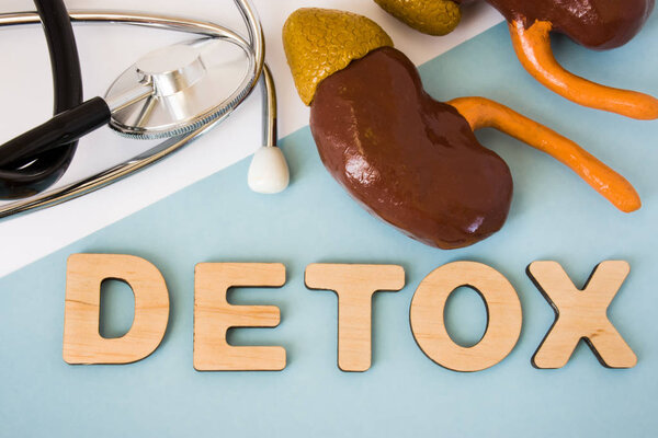 Kidney detox concept photo. Word detox of volumetric letters is near 3D kidneys model and medical stethoscope. Medical diet program for detoxification and cleanse of human organ for women and men