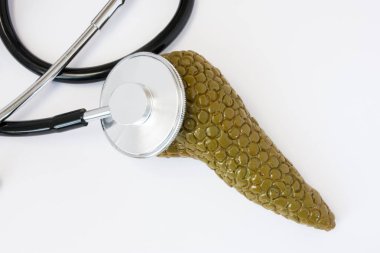 Pankreas diagnostics oluşum - organ ve bir steteskop fotoğraf fikri. Anatomik 3B cilt stetoskop ile siyah airtube en iyi başkanı inceliyor pankreas, model