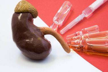 Böbrek hastalıkları - akut ve kronik tedavisi ile sahne. Böbrek anatomik model şişeleri ve şırınga ilaç kırmızı arka plan ile karşısında yer alır. Böbrek hastalıkları görselleştiren kavramı görüntü