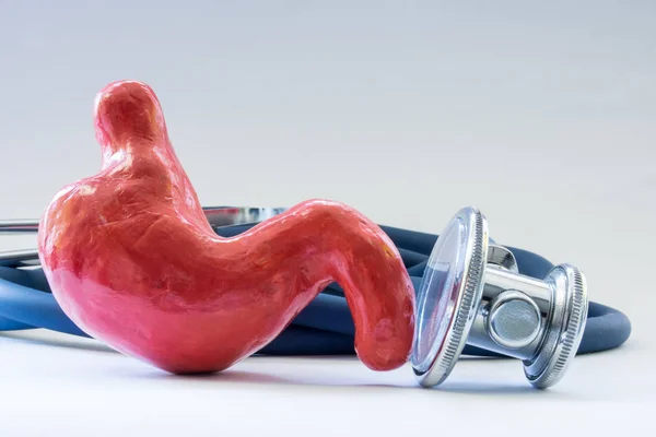 Magen Oder Magenstethoskop Als Symbol Für Die Gesundheit Des Organs — Stockfoto