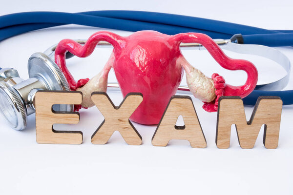 Gynecological examination or exam in gynecology concept. Model of uterus with ovaries is near stethoscope and word exam composed of volumetric 3D letters. Exam in medical practice of gynecologist