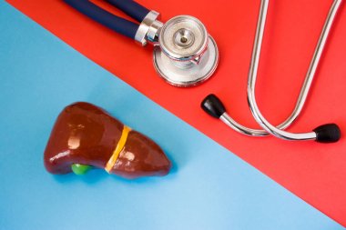Tasarım kavramı tanı ve karaciğer ve safra kesesi hastalıkları sindirim ve endokrin sistem organ - algılama. Steteskop ve karaciğer ve safra kesesi modeli karşı kırmızı ve mavi arka plan üzerinde