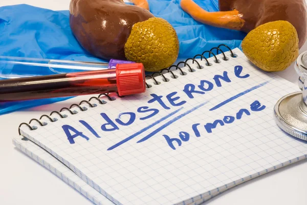 Aldosterone Mineralocorticoid Hormone Diagnostic Concept Photo Adrenal Glands Cortex Kidneys — Stock Photo, Image