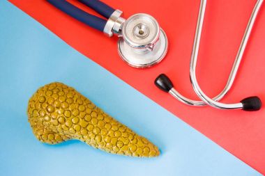 Tasarım kavramı tanı ve sindirim ve endokrin sistem organ - pankreas bezi hastalıkları tespit. Steteskop ve pankreas bezinin modeli karşı kırmızı ve mavi arka plan üzerinde