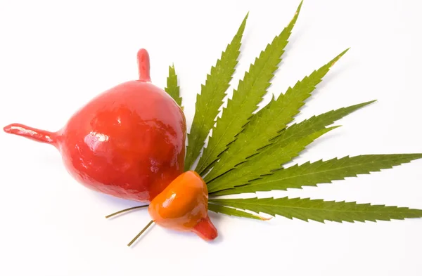 Cannabis Marijuana Vescica Con Prostata Modello Anatomico Vescica Urinaria Prostata — Foto Stock