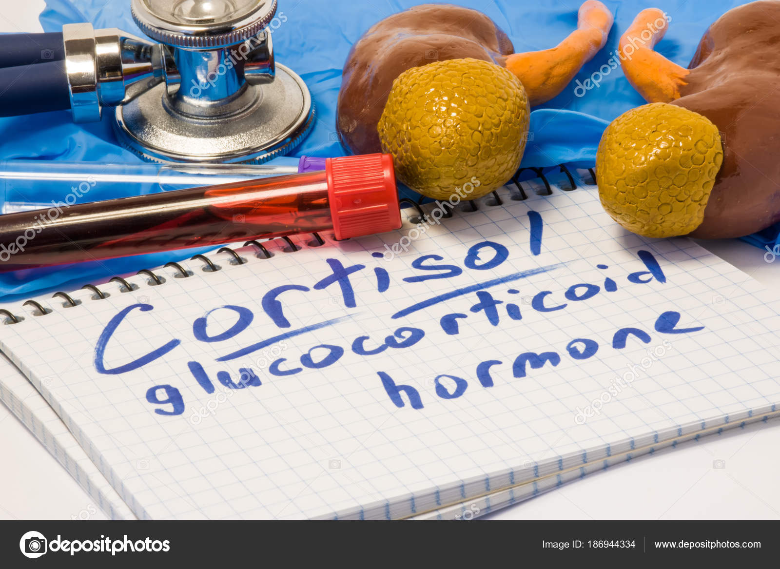 コルチゾール グルココルチコイド ホルモン診断コンセプト写真 聴診器 テスト チューブ メモの横にこのステロイド ホルモンを生成する腎臓と副腎